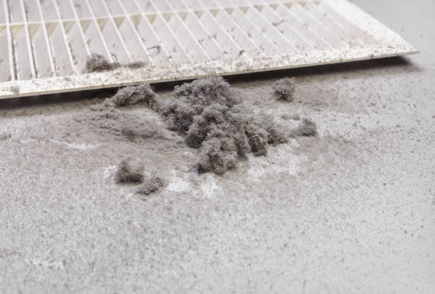 Best Commercial Air Duct Cleaning  in Santa Teresa, NM