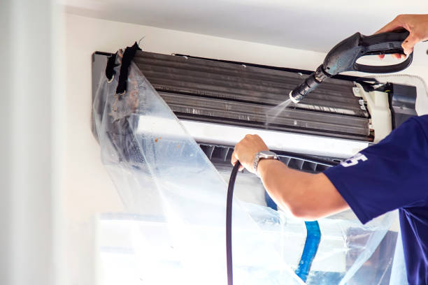 Best Air Duct Mold Removal  in Santa Teresa, NM
